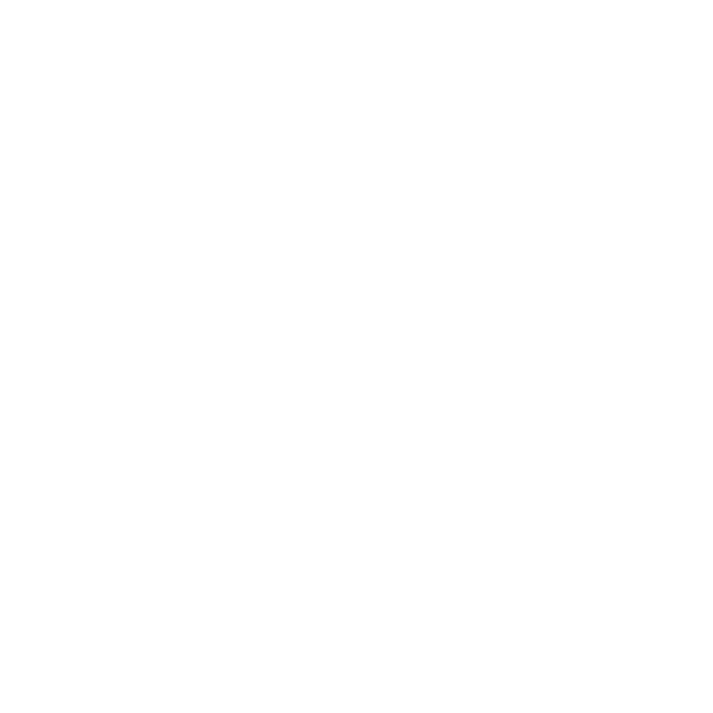 Netshoes